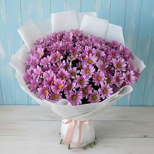 Букет цветов из:  Хризантемы #REPLACE_PRED# Фёдоровской