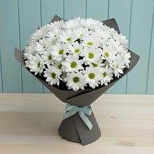 Букет цветов из:  Хризантемы в Фёдоровской