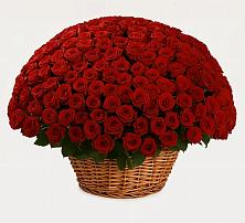 Премиум букет из: Розы в Фёдоровской